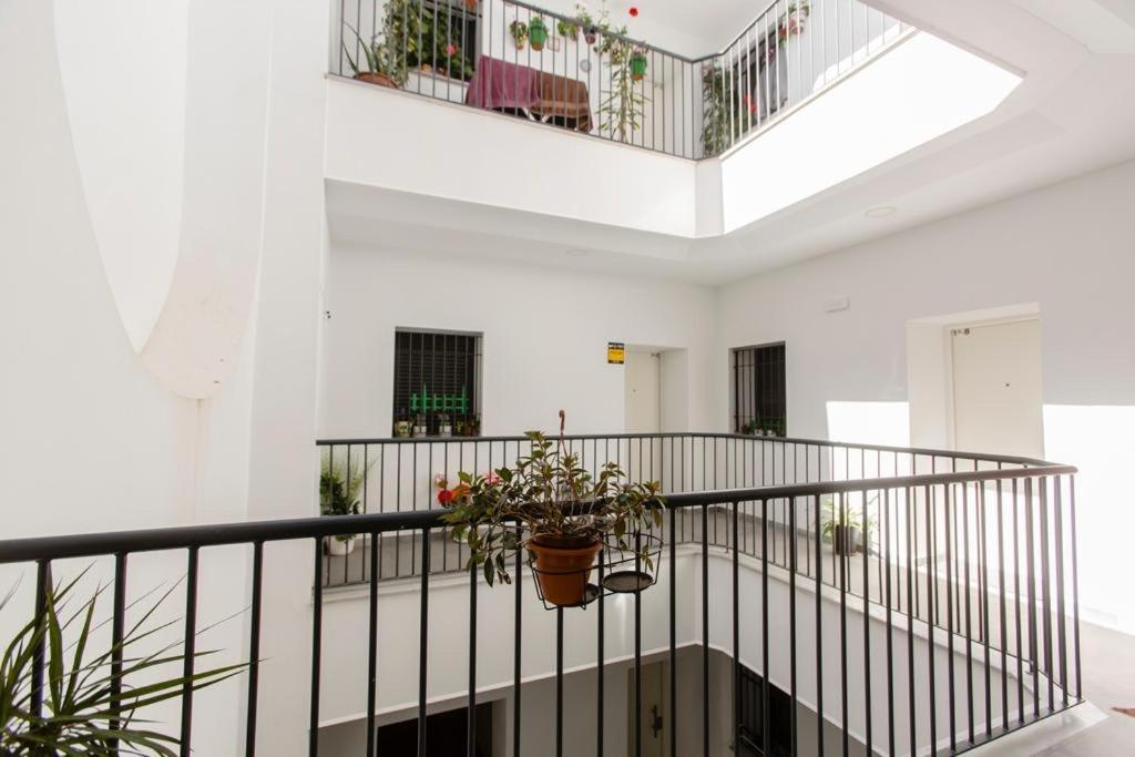 Apartamento Pitusa *